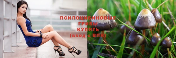 синтетический гашиш Осташков
