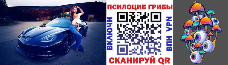 Псилоцибиновые грибы Psilocybe  как найти закладки  Кропоткин 
