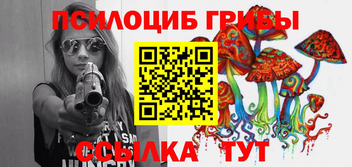 Кропоткин  Псилоцибиновые грибы мицелий  Вход с VPN 