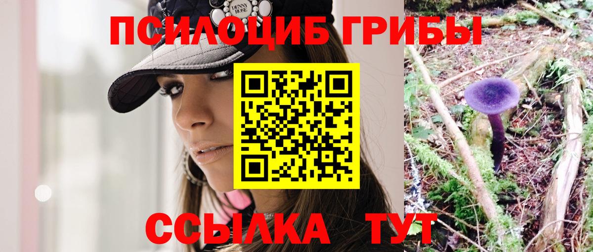 Галлюциногенные грибы GOLDEN TEACHER Кропоткин